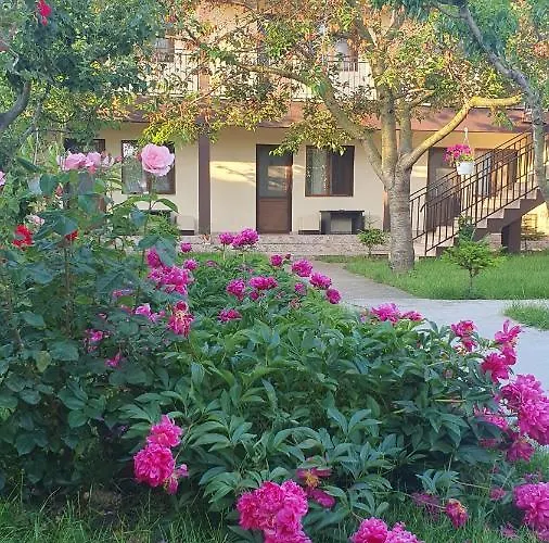 Pensiune La Babusca 2 Mai