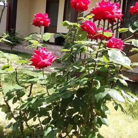 Affittacamere La Babusca 3*