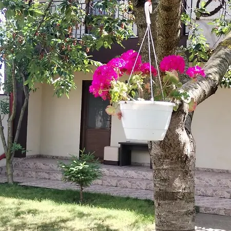 Affittacamere La Babusca Două Mai