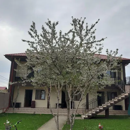 Affittacamere La Babusca