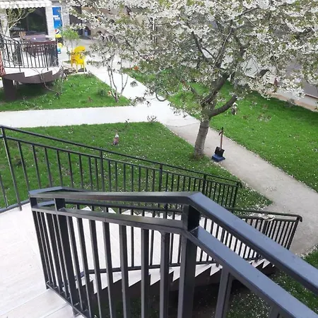 La Babusca Affittacamere