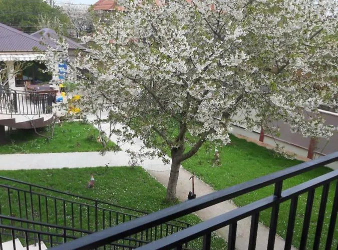 Guest house La Babusca 3*